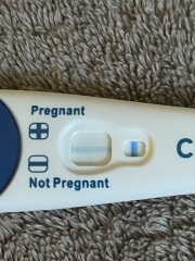 CLEAR BLUE EVAP LINE 9DPO