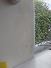 Leaks in a rental
