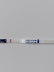 Hoping for BFP September/October