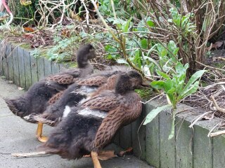 Ukraine Invasion: Part 34