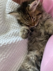 Please find me a name
