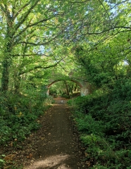 Come chat hiking with me!