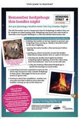 To ask you to please help hedgehogs and other wildlife prepare for winter