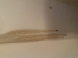What the hell is leaching out of my door? (Photo)