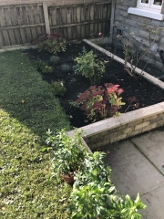 Border help needed 
