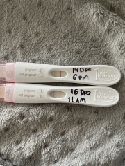 TTC after miscarriage thread 12 🌈✨💛💕
