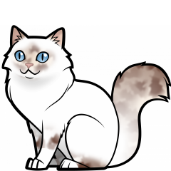 Your cat as an Avatar