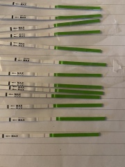 Ovulation 