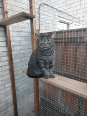 Brexit mega thread : part 9 : Winter is Coming