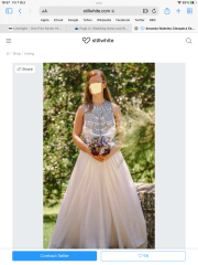 Wedding dress and SIL/DM