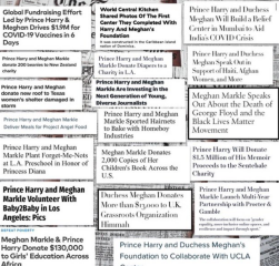 Harry and Meghan doing alright in the US, continuing their  universal service