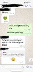 To think my husband is gravely ill at the wrong time?  Thread 2
