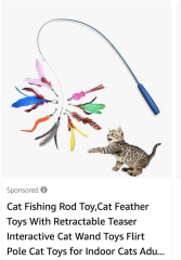 To ask how you play with your cat