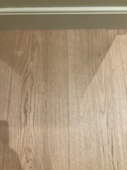Does this floor look freshly oiled to you ? 