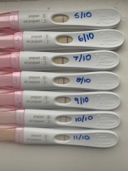 Line progression on FRER/One Step Strip Test