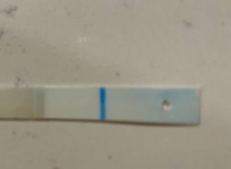 Clear blue digital question 