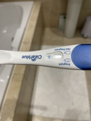 Clear blue digital question 