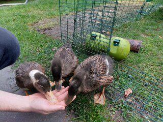 Ukraine Invasion: Part 34