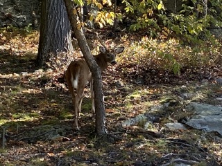 Come and tell me your dull and unexciting news 23: Calmly through the day 