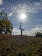 Come chat hiking with me!