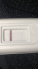 Has anyone ever had this clear line show?