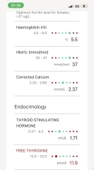 Could someone please help me to understand my blood test results - concerned about cholesterol and thyroid