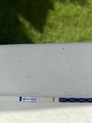 One step pregnancy tests???