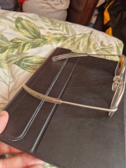 Aviators as eyeglasses? 