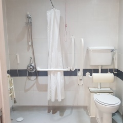 Thread 41 Corona Cohort -  Autumn Adventures of our Adult Children 