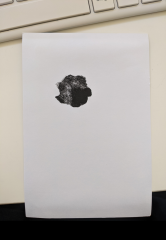 Would fingerprinting the cat be too weird?