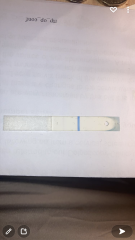 FRER