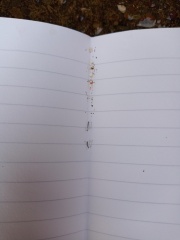 Bugs in notebook?!?