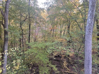 Come and tell me your dull and unexciting news 23: Calmly through the day 