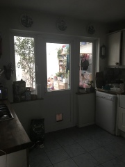 To velux or not to velux? (photo included)