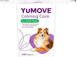 Rescue dog so anxious - how to help ease this?