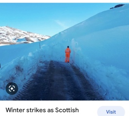 Buying in the highland