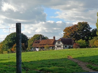 Come chat hiking with me!