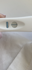 FRER help