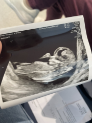 Babies due April 2023 Thread 6