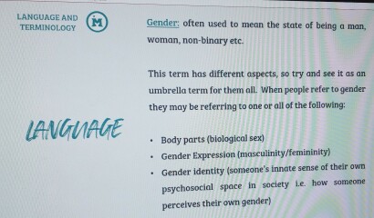 Mermaids being investigated by the Charity Commission - thread 2