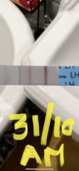 Ovulation tests, am I doing it right?