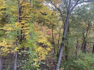 Come and tell me your dull and unexciting news 23: Calmly through the day 