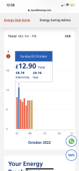 What's everyone's energy showing on their smart meters?