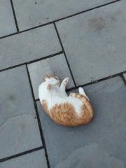 Brexit mega thread : part 9 : Winter is Coming