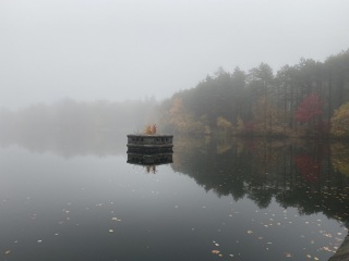 Come and tell me your dull and unexciting news 23: Calmly through the day 