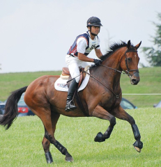 Comfortable cantering 