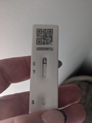 Do these look positive to you? 