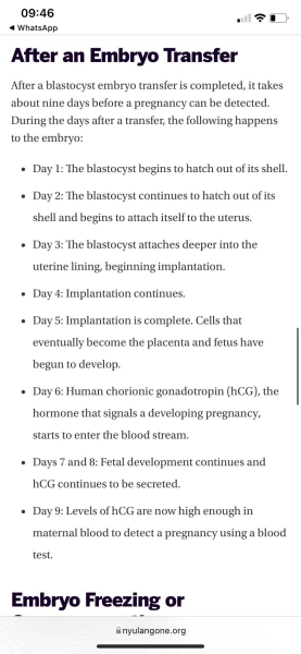 IVF Oct/Nov