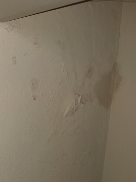 Is this condensation, damp or other?