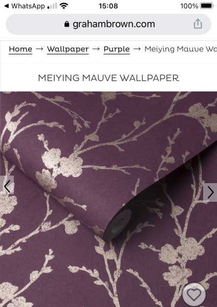 Help me choose a Farrow and Ball paint colour !